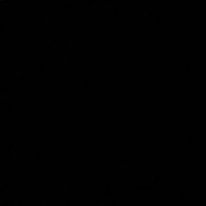 Meet your Posher, Abigail